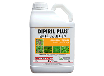 elkhadra-dipiril-plus