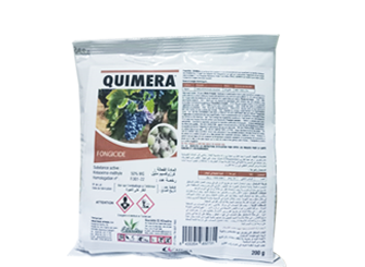 QUIMERA