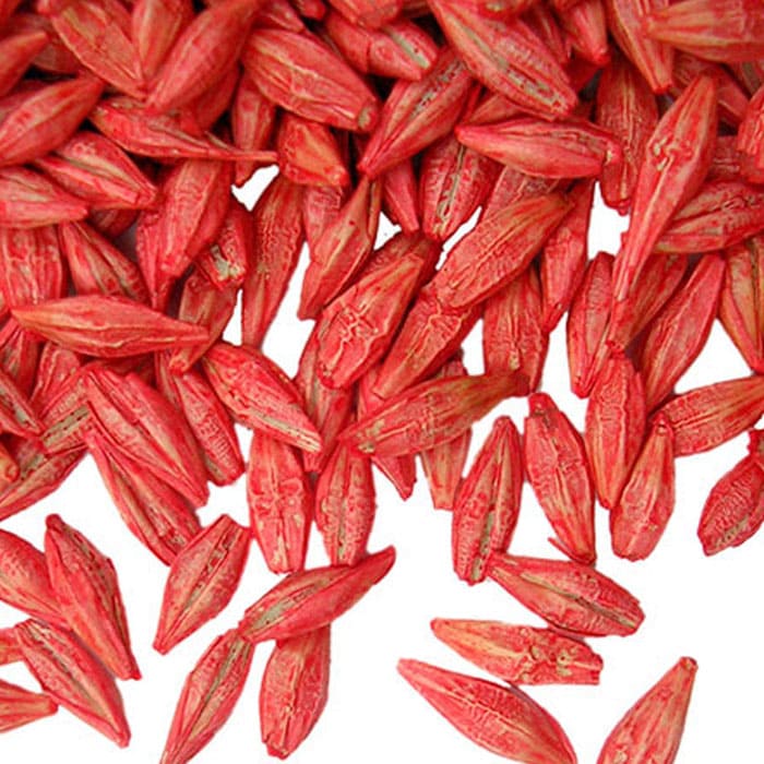 Elkhadra - Traitement des semences