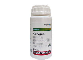 CURYGEN EC