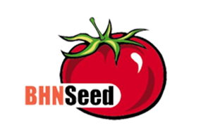 BHN Seed